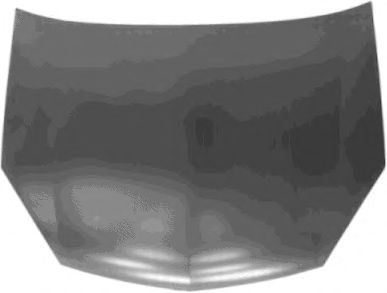 VAN WEZEL 3769660 - Капот двигателя